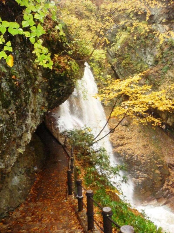 【静岡県内発】 秋色に染まる奥信州絶景ハイライト 北向観音64年ぶりの前立本尊御開帳と別所温泉食べ歩き 2日間2